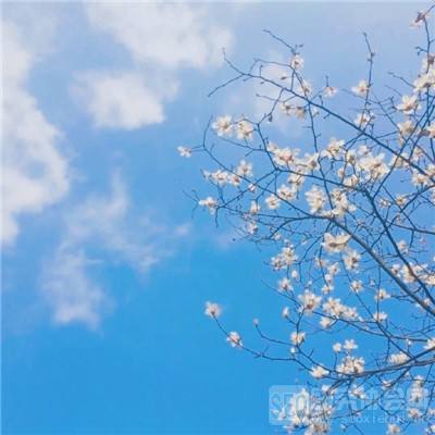 welcome 彩神8的最新网址