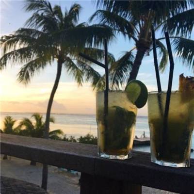 b体育手机在线登录