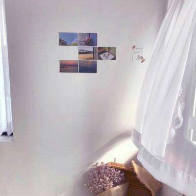 bob体体育app下载