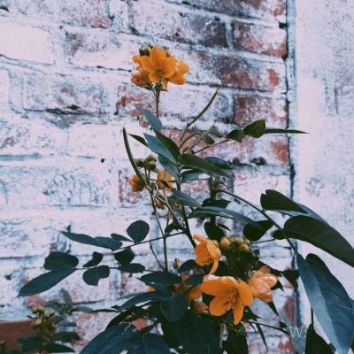 金年会app官方下载